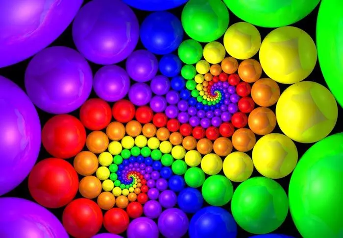 4627027.jpg