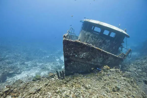 4823867.jpg