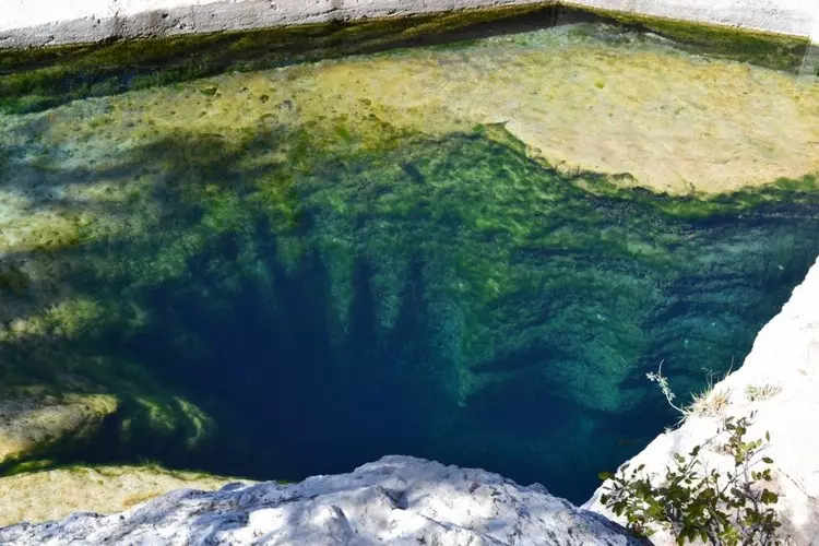 jacobswell_shabavizparvaz (2).jpg