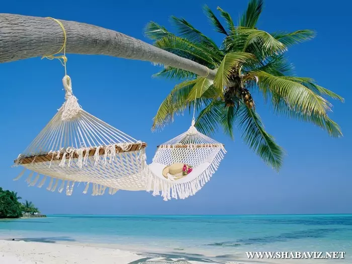 maldives006.jpg