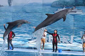 safari_world_bangkok_shabavizparvaz_little.jpg