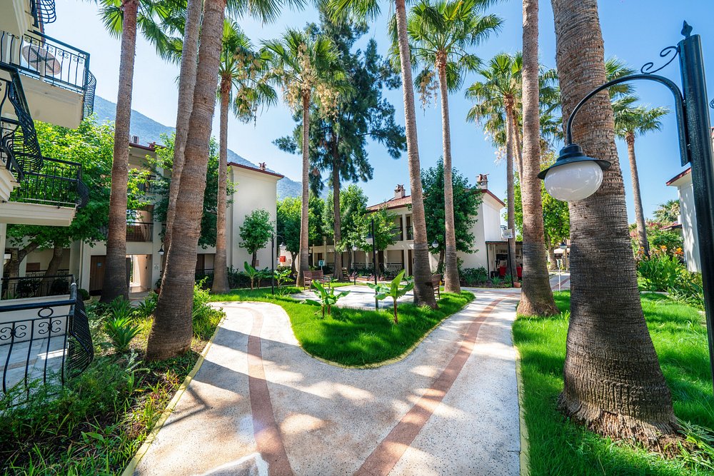 ساندیا اولودنیز