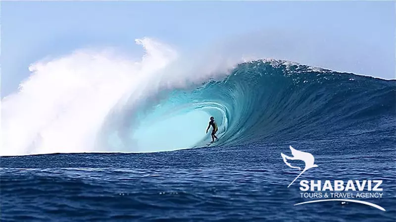wave_board.jpg