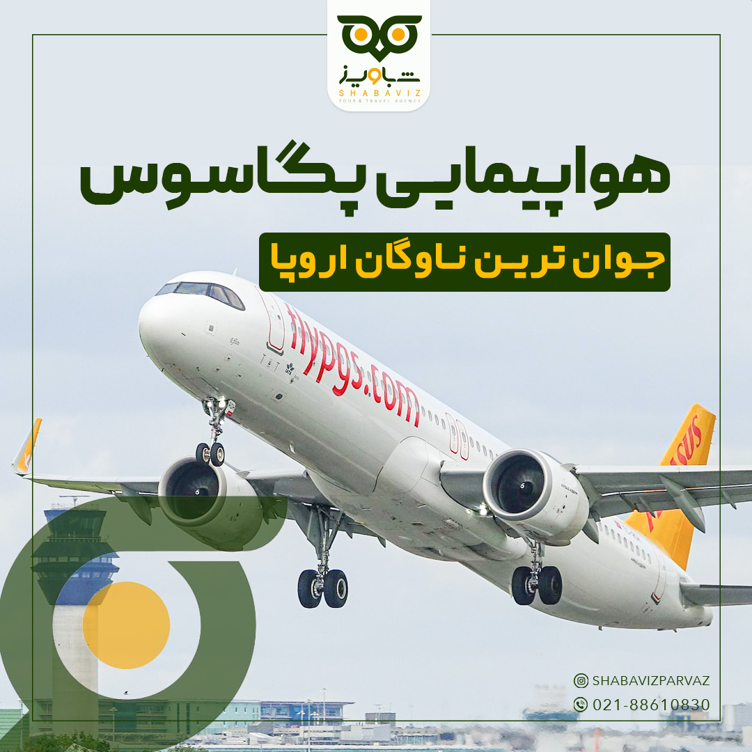 تصویر هواپیمایی پگاسوس