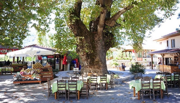 تصویری از روستای بییر