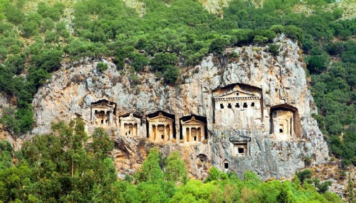 عکس از دالیان