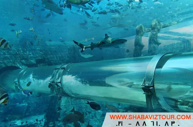 ATLANTIS_AQUAPARK11 ATLANTIS_AQUAPARK11