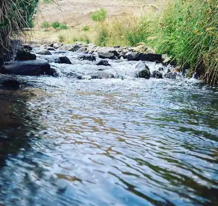 10_1 10_1