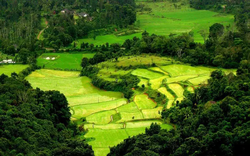 COORG COORG