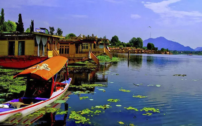 srigar srigar